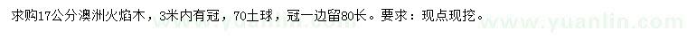 求購(gòu)17公分澳洲火焰木
