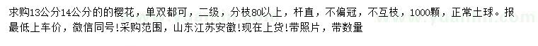 求購(gòu)13、14公分櫻花