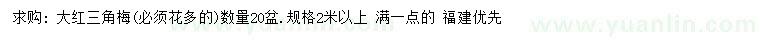 求購2米以上大紅三角梅