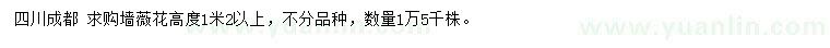 求購高度1.2米以上墻薇花