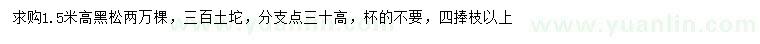 求購高1.5米黑松
