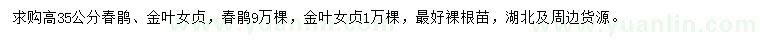 求購高35公分春鵑、金葉女貞