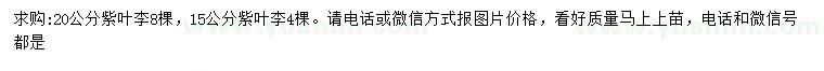 求購(gòu)15、20公分紫葉李