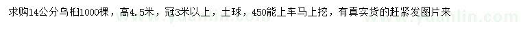 求購14公分烏桕
