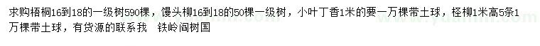 求購(gòu)梧桐、饅頭柳、小葉丁香等