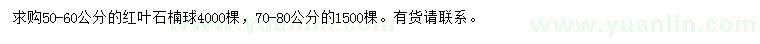 求購50-60、70-80公分紅葉石楠球