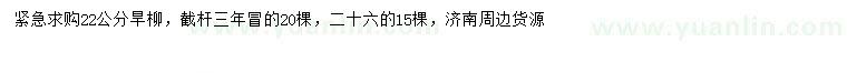 求購22、26公分旱柳