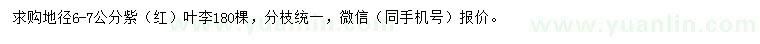 求購地徑6-7公分紫（紅）葉李