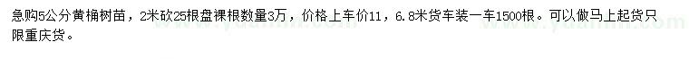 求購5公分黃桷樹