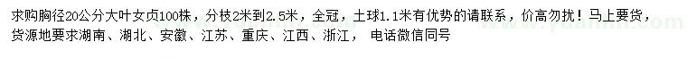 求購胸徑20公分大葉女貞