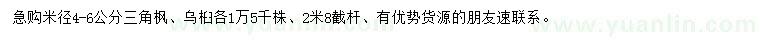 求購米徑4-6公分三角楓、烏桕