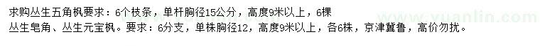 求購(gòu)叢生五角楓、叢生皂角、叢生元寶楓