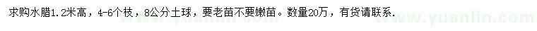 求購(gòu)高1.2米水臘