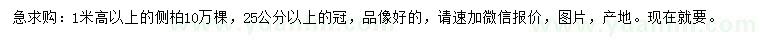 求購高1米以上側(cè)柏