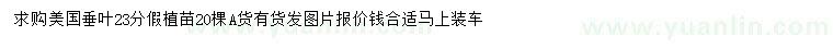 求購23公分美國垂葉假植苗