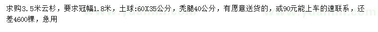 求購3.5米云杉