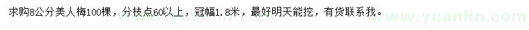 求購8公分美人梅