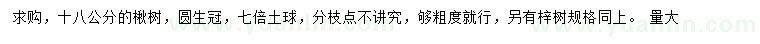 求購18公分楸樹