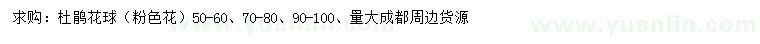 求購50-60、70-80、90-100公分杜鵑花球（粉色花）