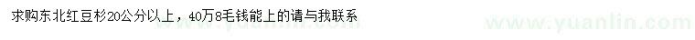 求購20公分以上東北紅豆杉