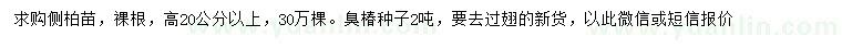 求購高20公分以上側(cè)柏、臭椿種子