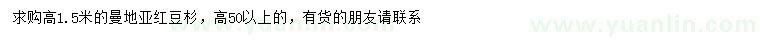 求購高1.5米曼地亞紅豆杉