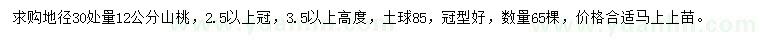 求購地徑30處量12公分山桃