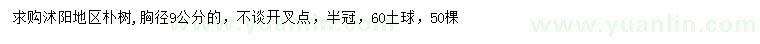 求購胸徑9公分樸樹