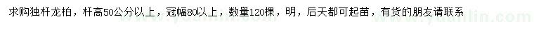 求購桿高50公分以上獨桿龍柏