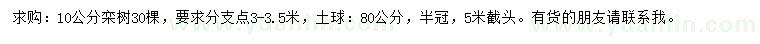 求購(gòu)10公分欒樹(shù)