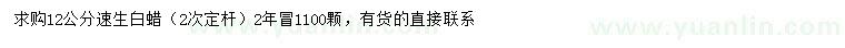 求購12公分速生白蠟