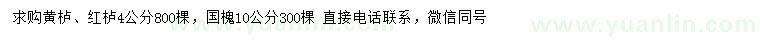 求購黃櫨、紅櫨、國槐
