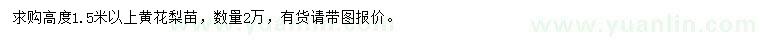 求購高1.5米以上黃花梨苗