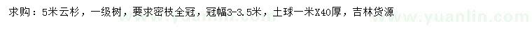 求購(gòu)5米云杉