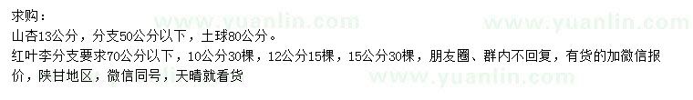 求購(gòu)13公分山杏、10、12、15公分紅葉李