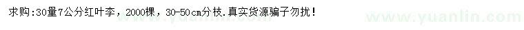 求購30量7公分紅葉李