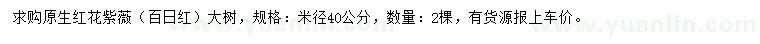 求購米徑40公分原生紅花紫薇