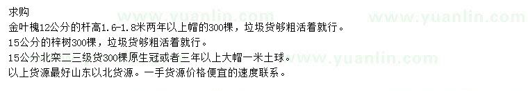 求購(gòu)金葉槐、梓樹(shù)、北欒