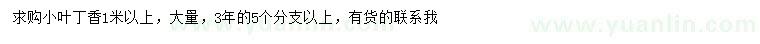 求購(gòu)1米以上小葉丁香