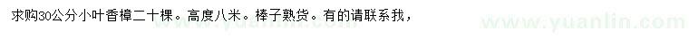 求購30公分小葉香樟