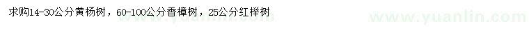 求購黃楊、香樟、紅櫸
