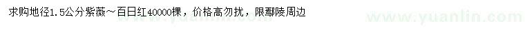 求購(gòu)地徑1.5公分紫薇