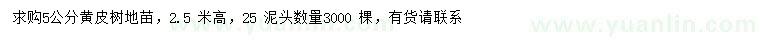 求購5公分黃皮樹