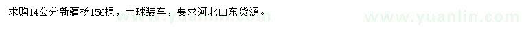 求購14公分新疆楊