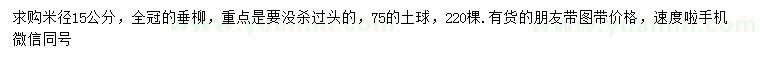 求購米徑15公分全冠垂柳