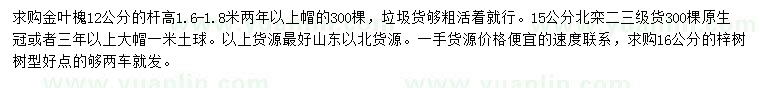 求購金葉槐、北欒、梓樹