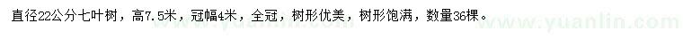 求購直徑22公分七葉樹