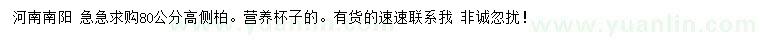 求購高80側(cè)柏
