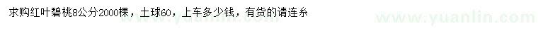 求購8公分紅葉碧桃