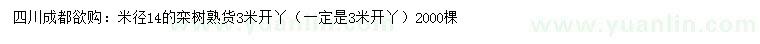 求購(gòu)米徑14公分欒樹